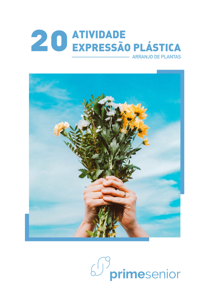 Atividade n.º 20: Ideia de presente: Arranjo de plantas