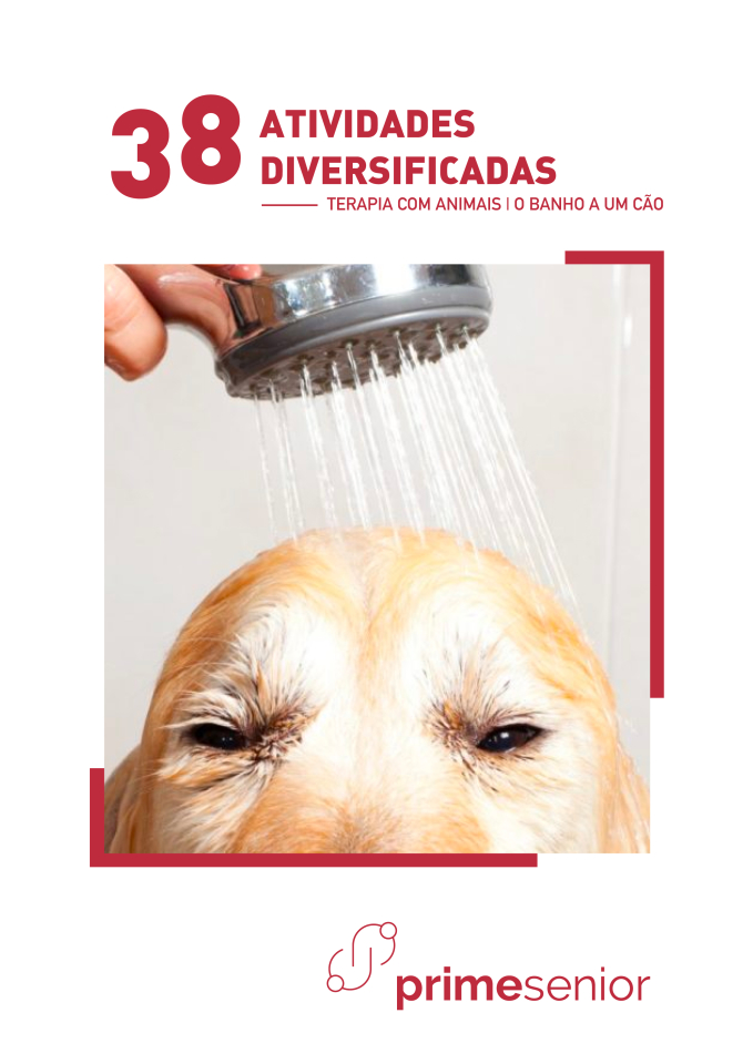 Atividade n.º 38: Banho a um cão