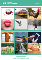 Atividade n.º 2: Loto Sonoro
