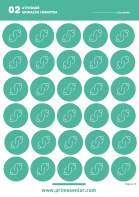 Atividade n.º 2: Loto Sonoro