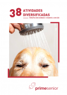 Atividade n.º 38: Banho a um cão